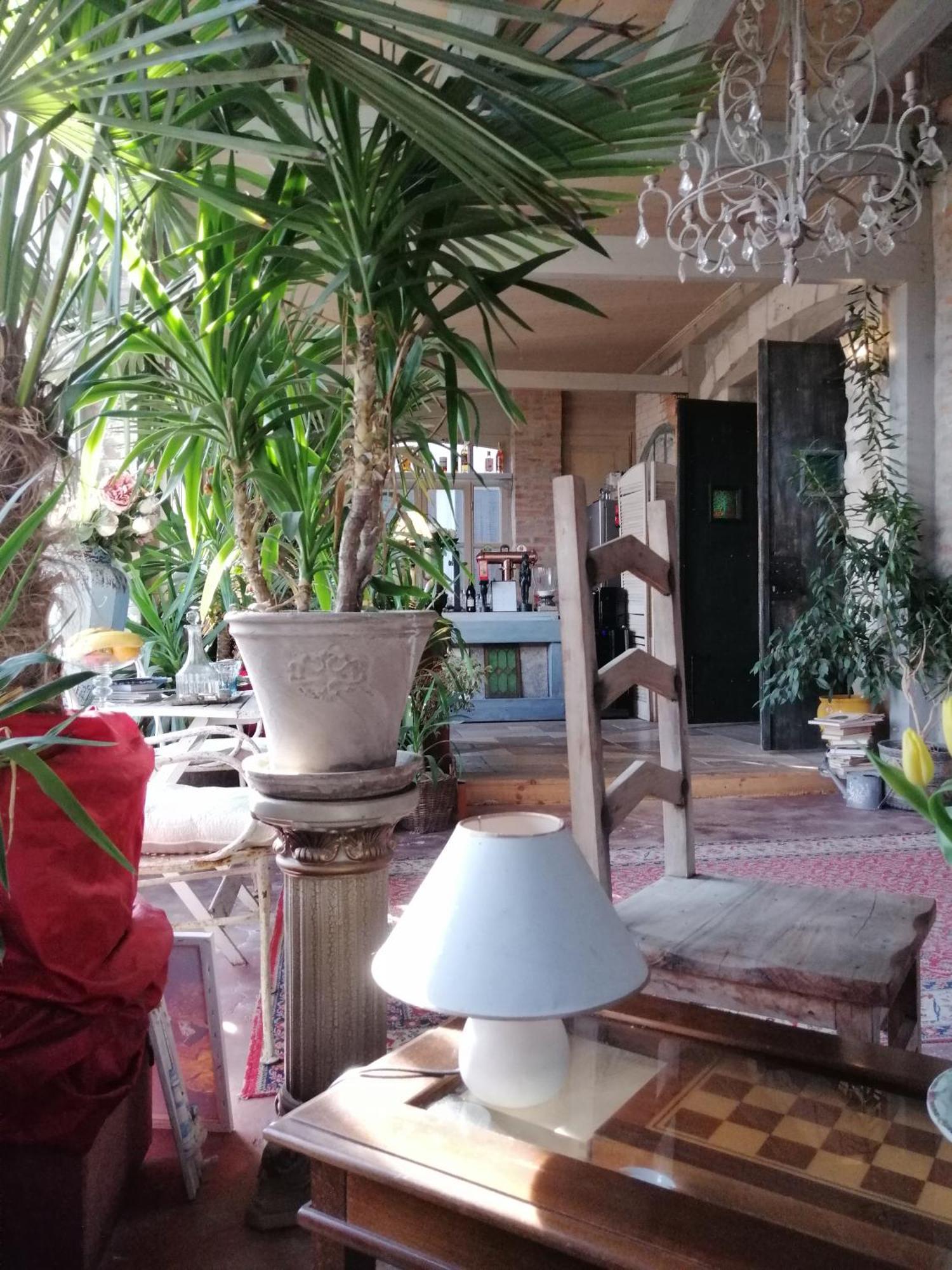 Vila Terrasse Košice Eksteriør billede